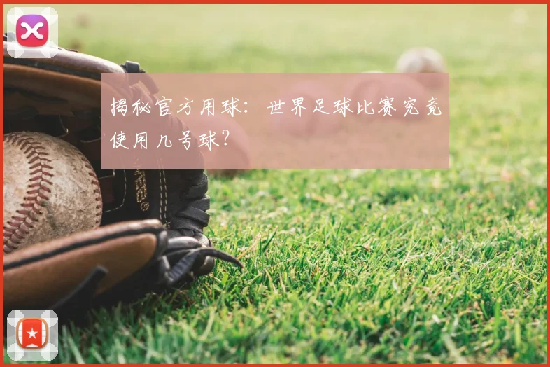 揭秘官方用球:世界足球比赛究竟使用几号球?