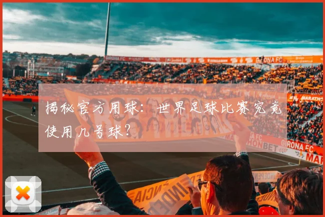 揭秘官方用球:世界足球比赛究竟使用几号球?