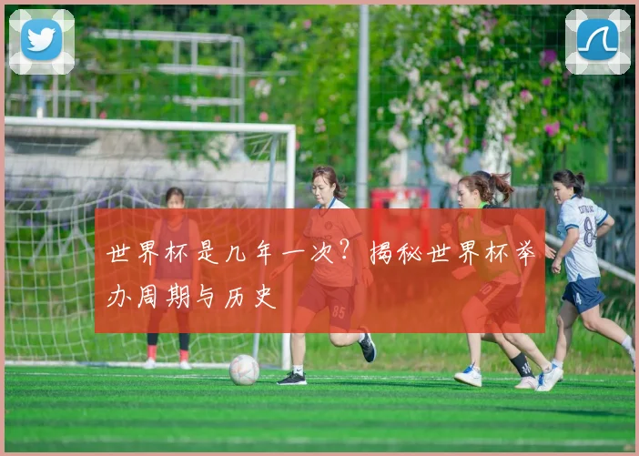 世界杯是几年一次？揭秘世界杯举办周期与历史
